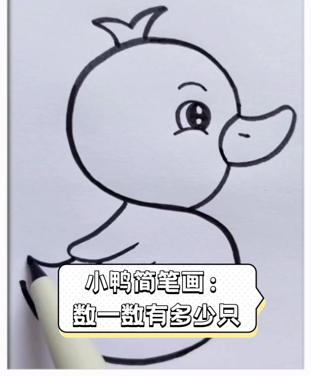 小鸭简笔画:数一数有多少只