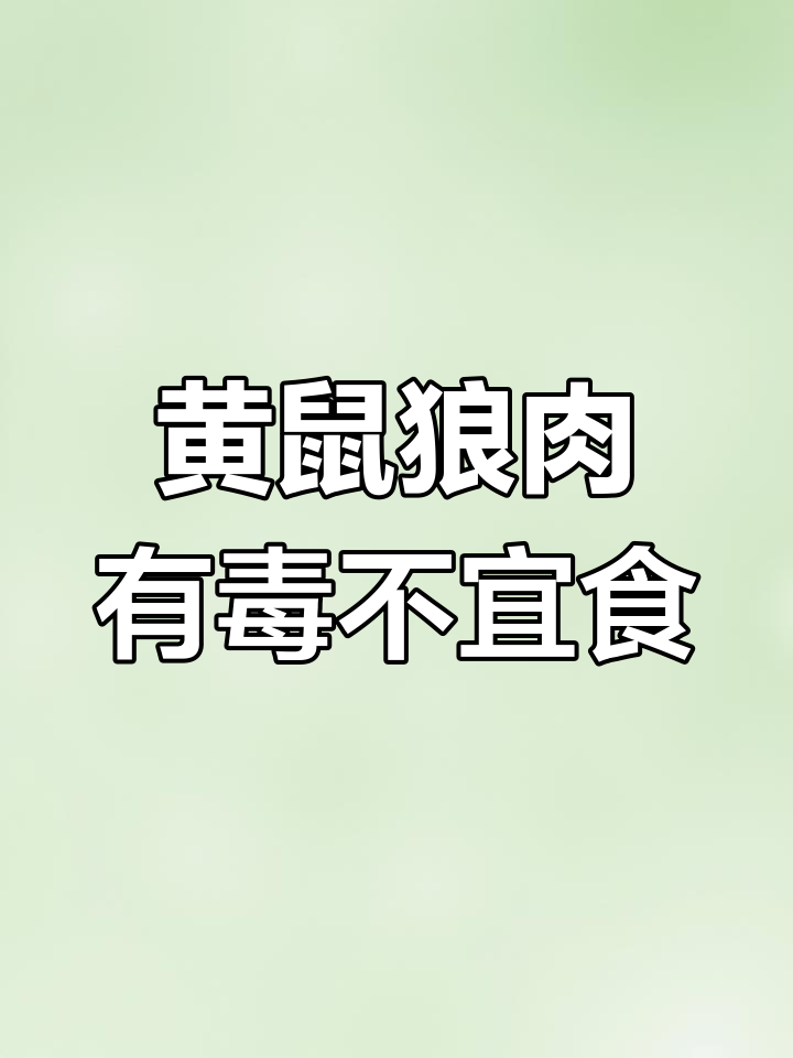 黄鼠狼晚上最害怕什么呢为什么在线