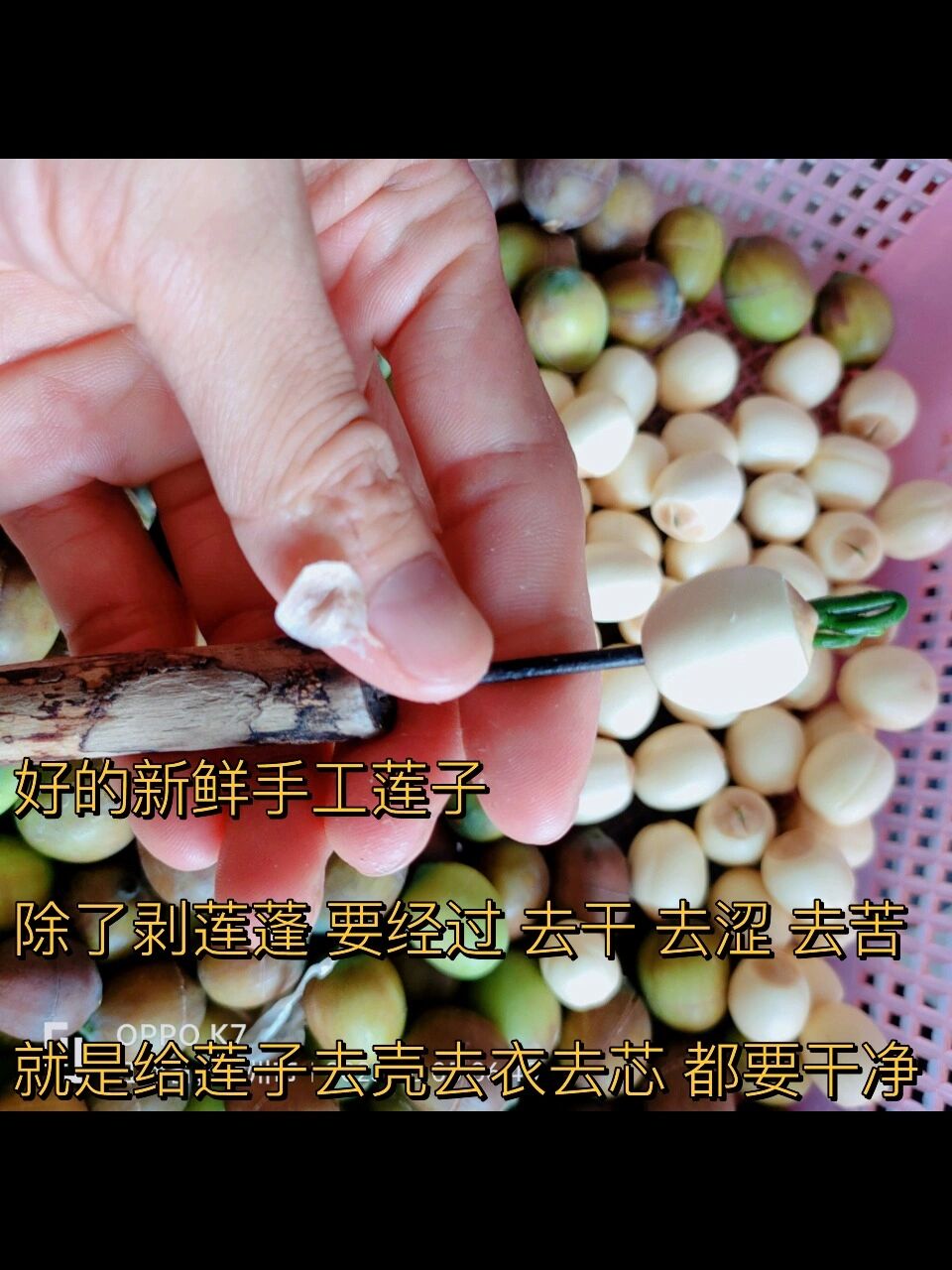 新鲜去芯莲子 你会做么?