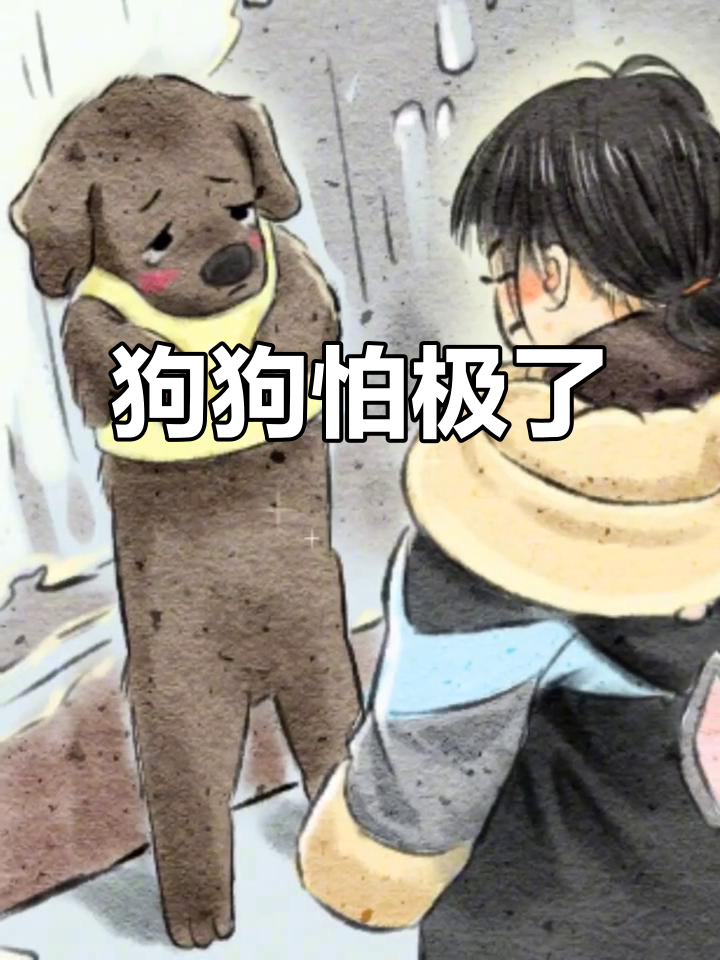 狗子被吓到,表情超害怕