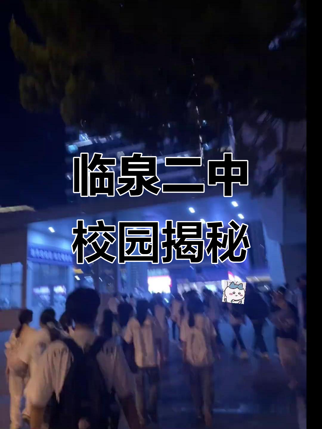 上海临泉二中分校校园探访,带你了解这里的学习环境