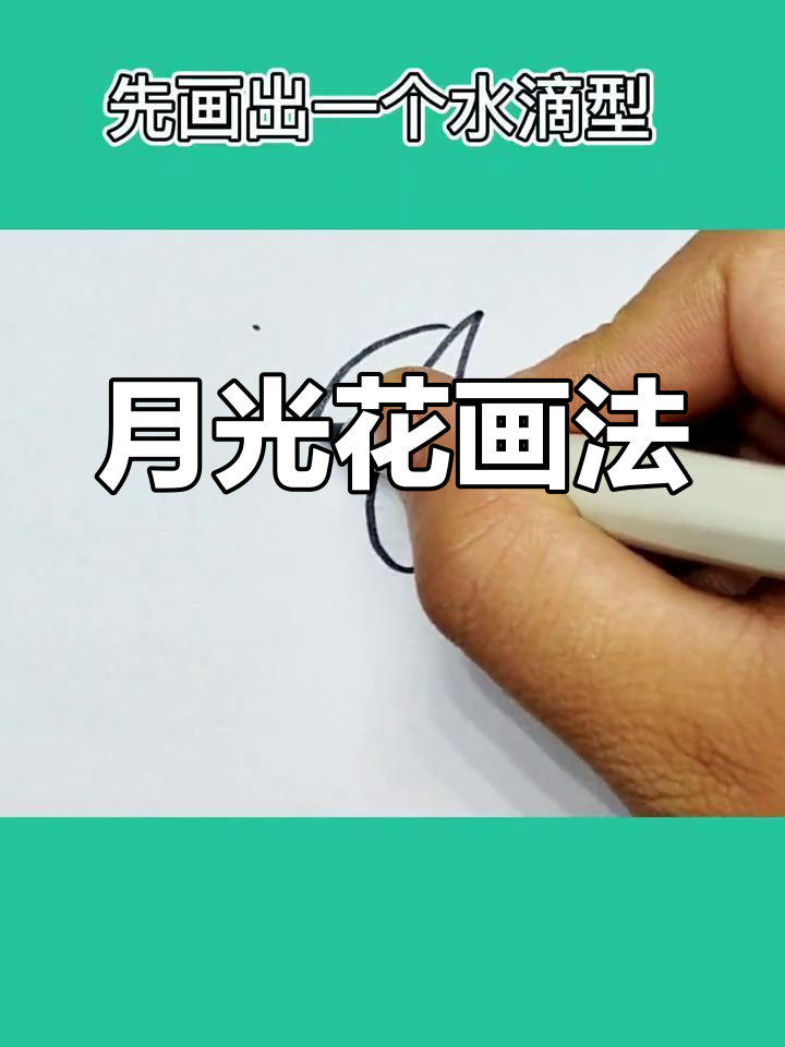 植物大战僵尸月光花简笔画教程,轻松学会!