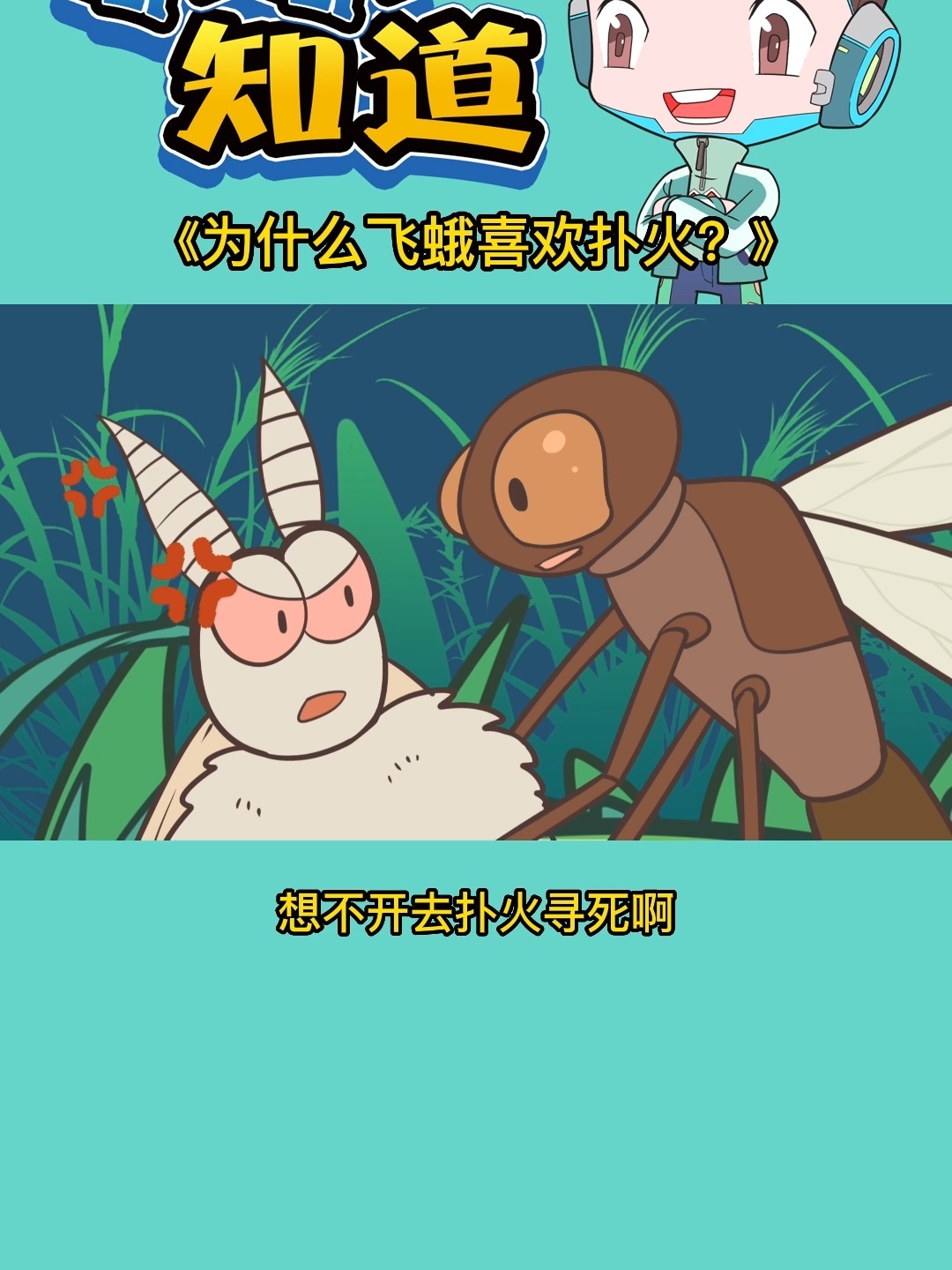 飞蛾为什么扑火