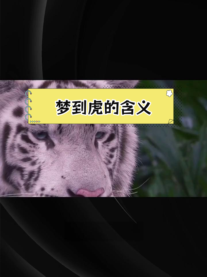 梦见老虎的多种解读