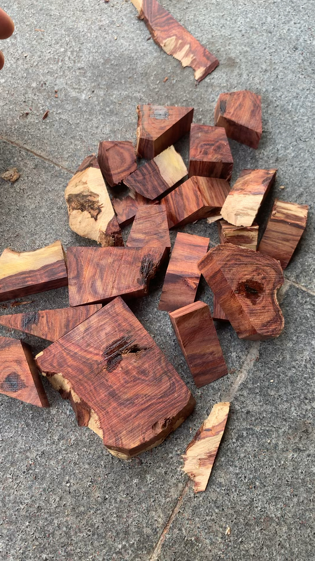 海南黄花梨紫油梨价格100.1串2.0或者2串0.