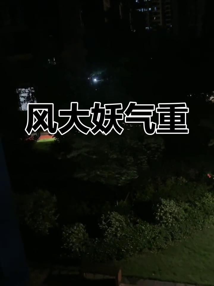 妖风来袭,师父快救我!《飞虎队》招募主播