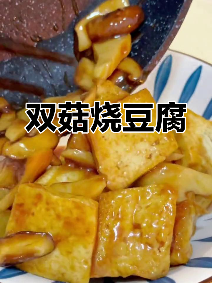 天天饮食2008双菇豆腐图片