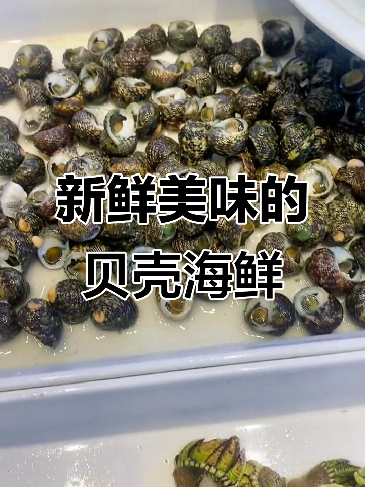 舟山海鲜大揭秘,鲜美无比的贝壳类美味