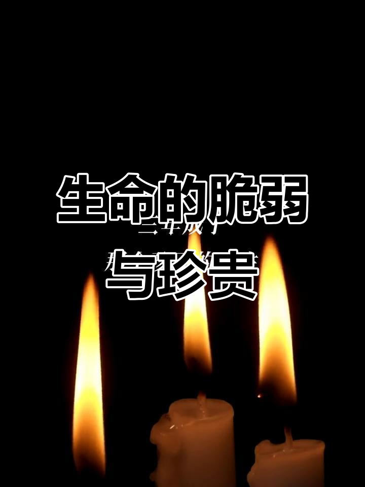 生命无常,珍惜当下,活好每一天
