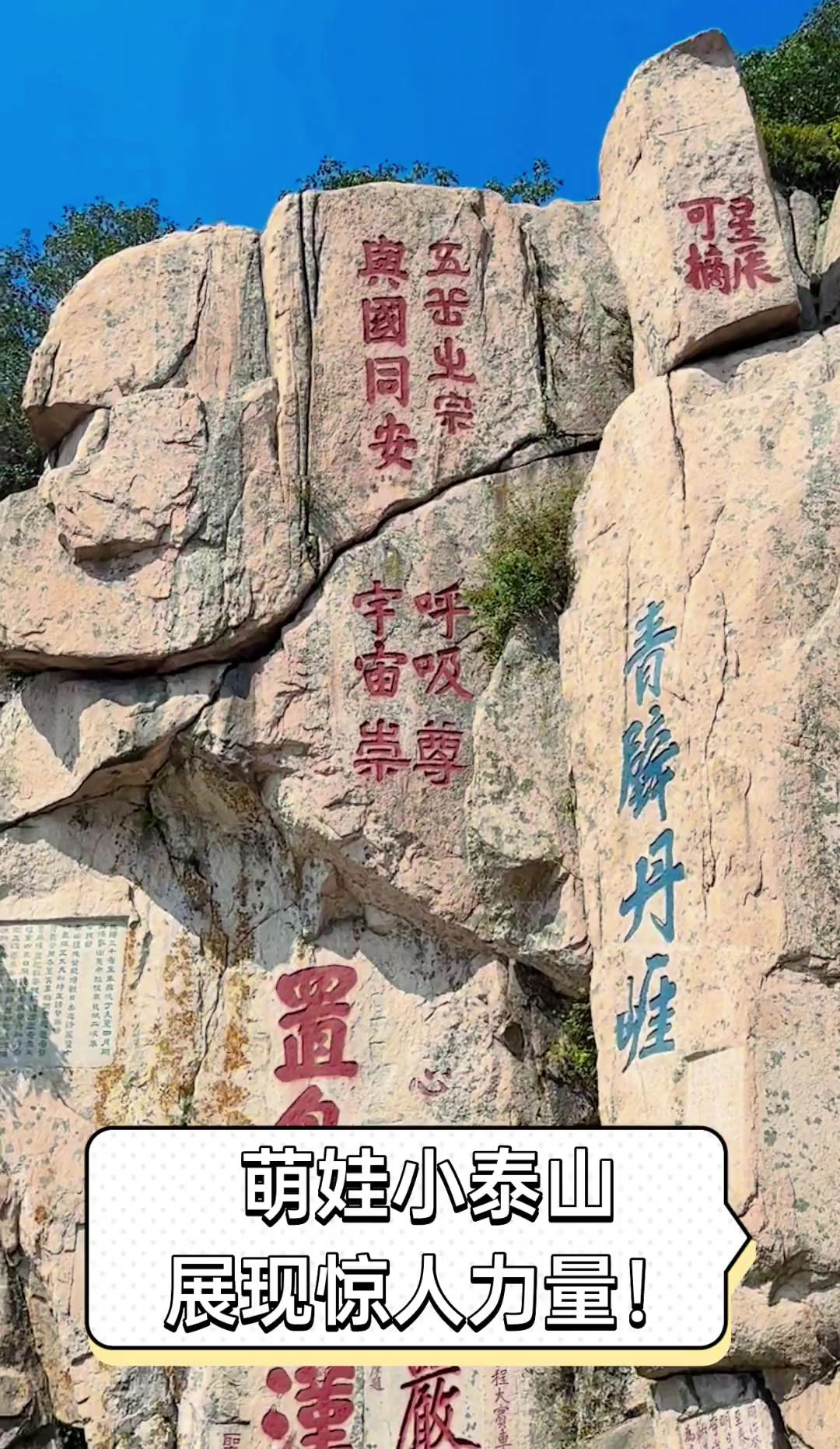 萌娃小泰山,展现惊人力量!