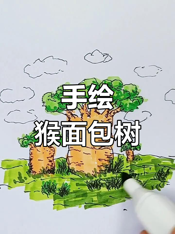 没见过猴面包树?一起动手画一个!