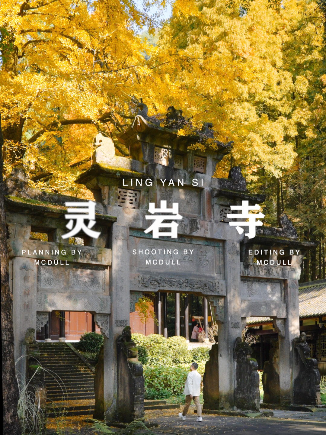 灵岩寺|成都秋日的银杏藏在这座深山古寺