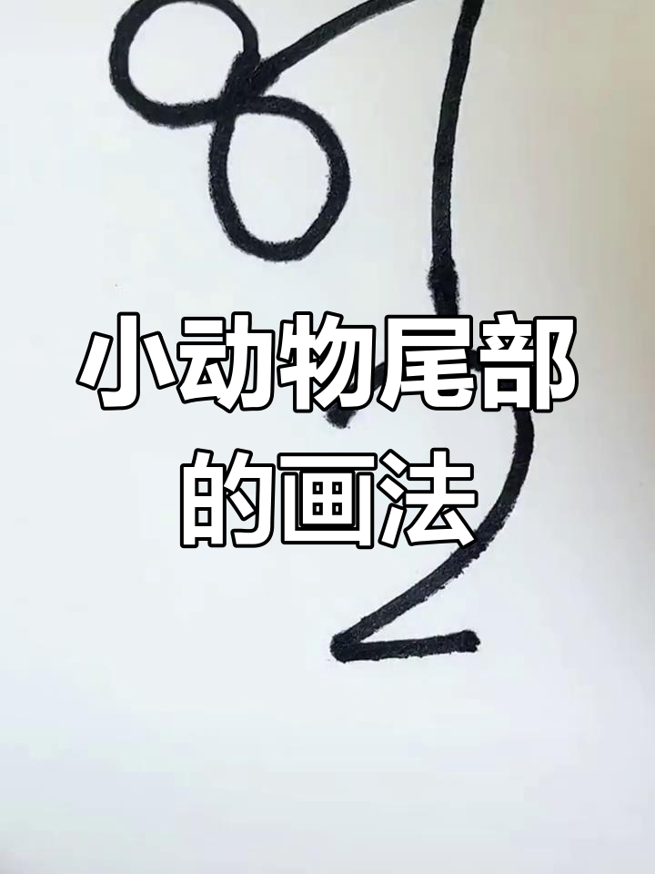 儿童简笔画:从数字到字母,轻松画出小动物尾巴