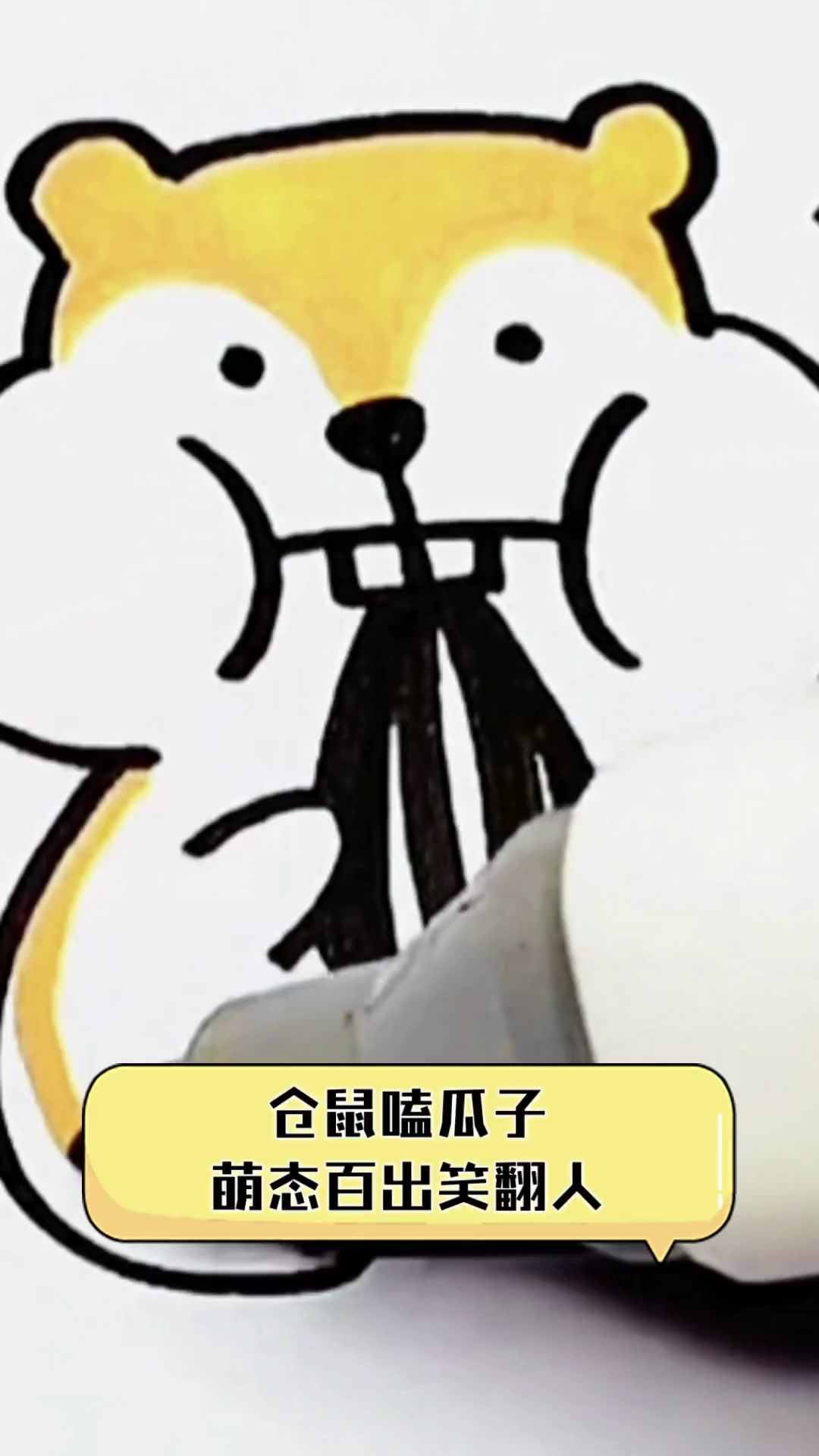 仓鼠嗑瓜子,萌态百出笑翻人