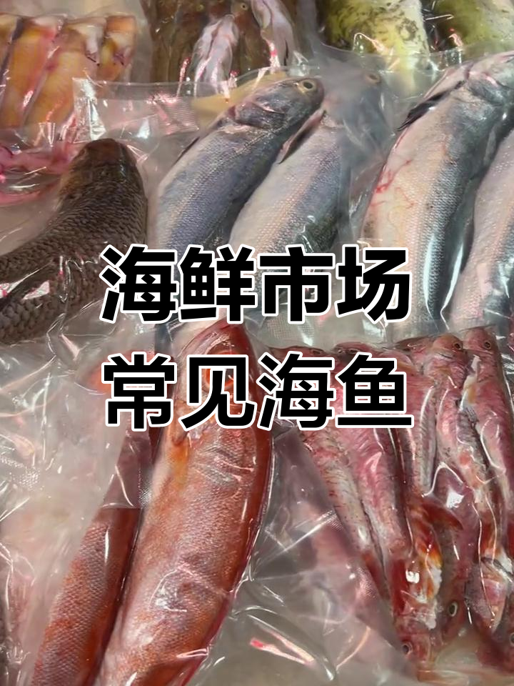 常见海鲜市场海鱼大揭秘,带你认识这些美味鱼类