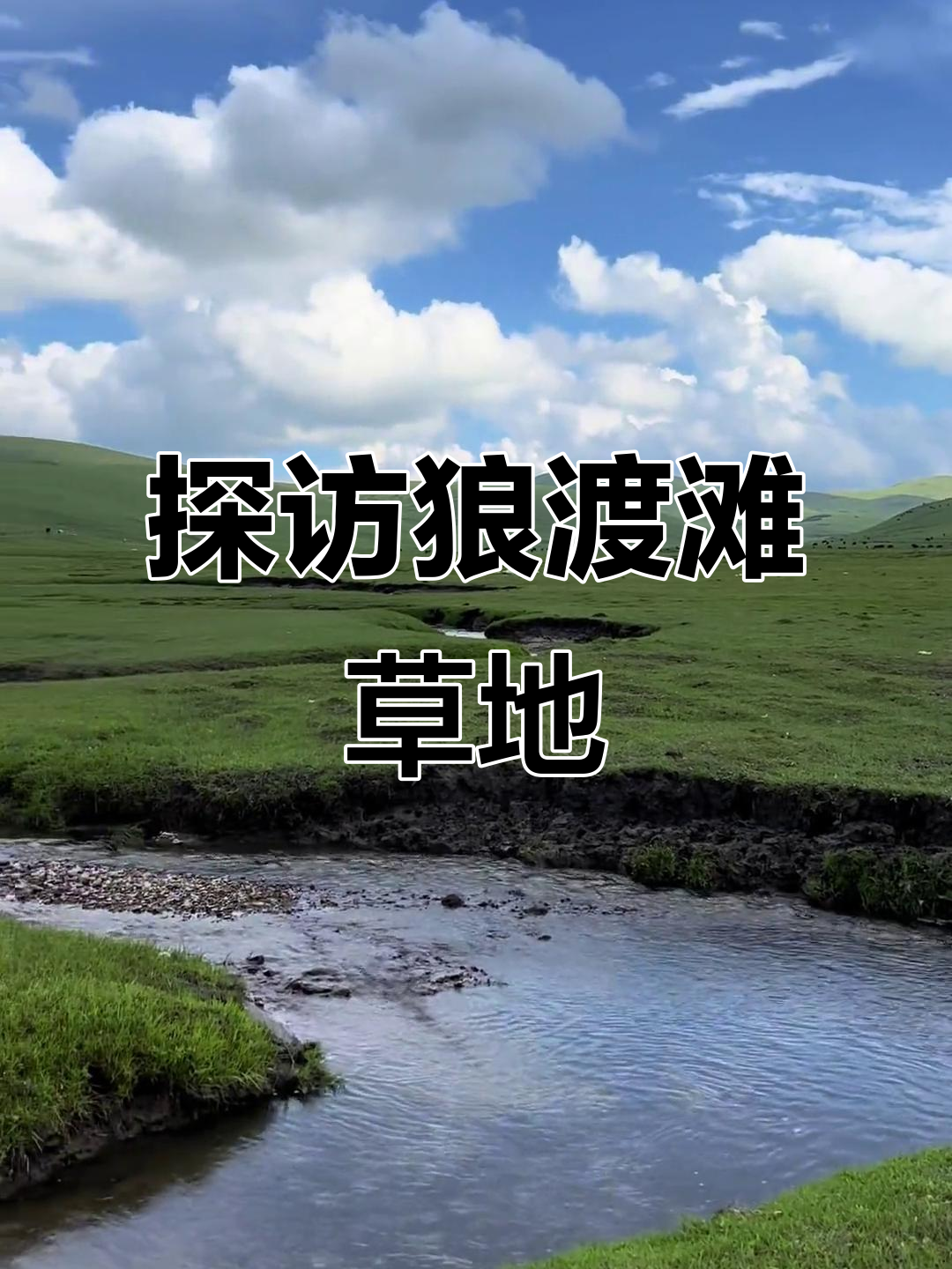 带你走进狼渡滩湿地草原,感受大自然的魅力