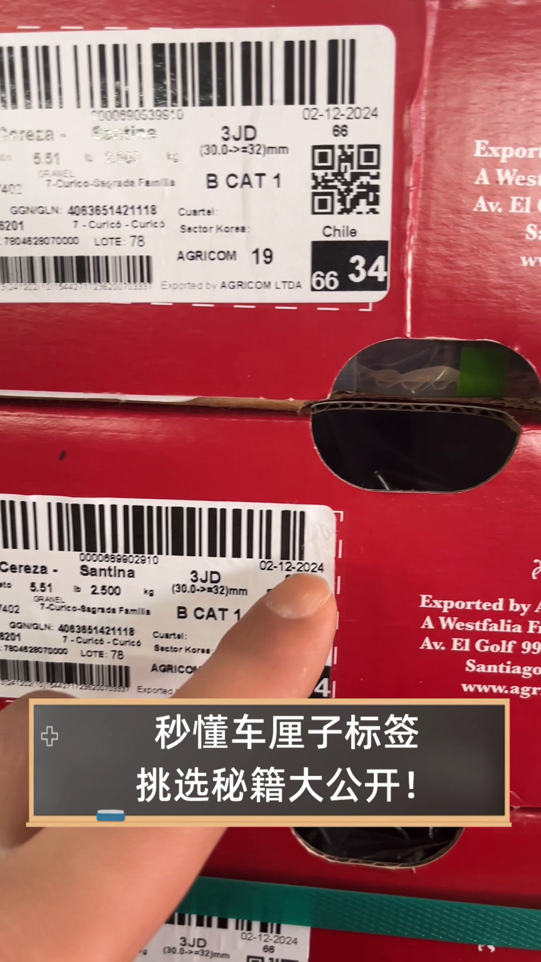 秒懂车厘子标签,挑选秘籍大公开!