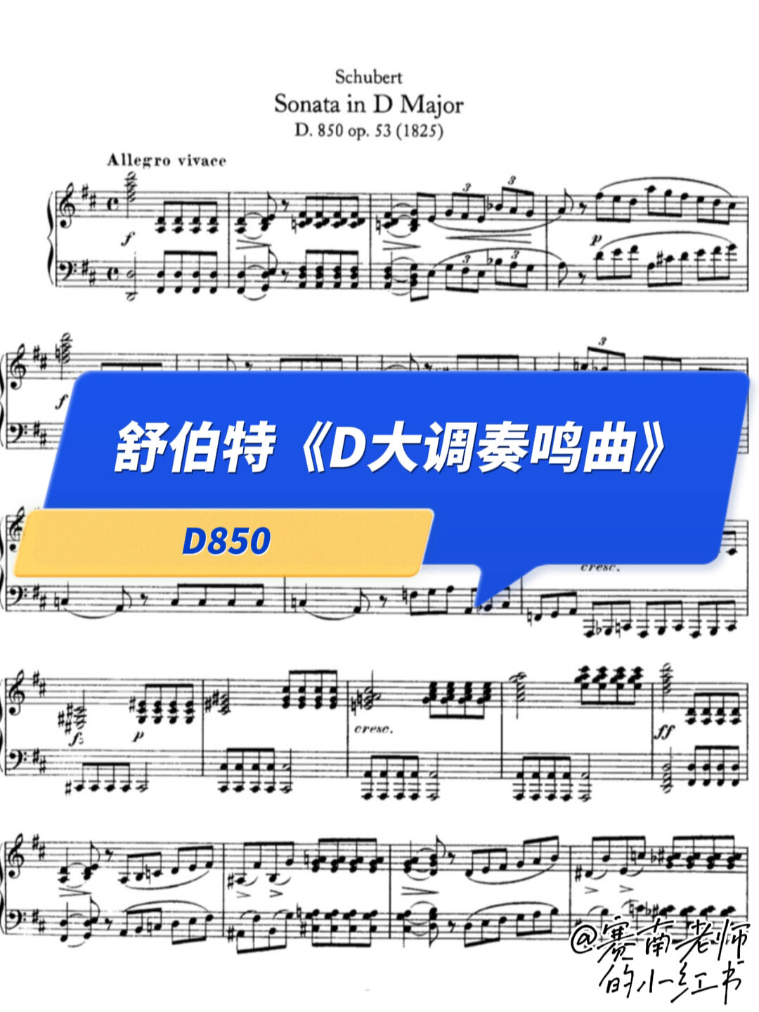 d大调奏鸣曲第三乐章图片