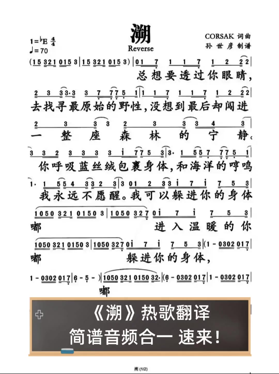《溯》热歌翻译,简谱音频合一,速来!