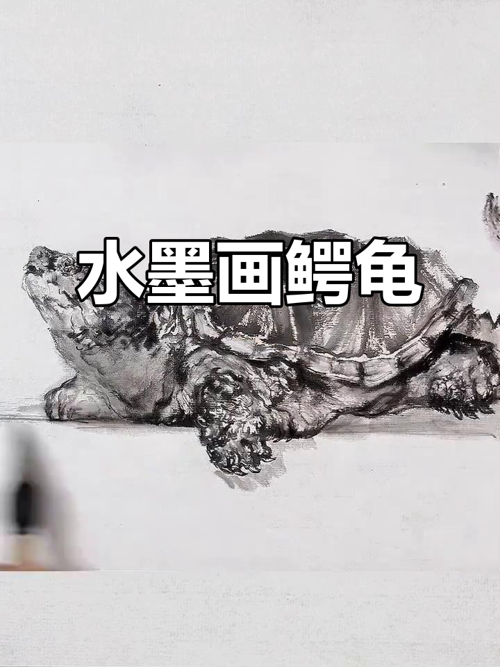水墨画鳄龟,一步步画出神奇动物
