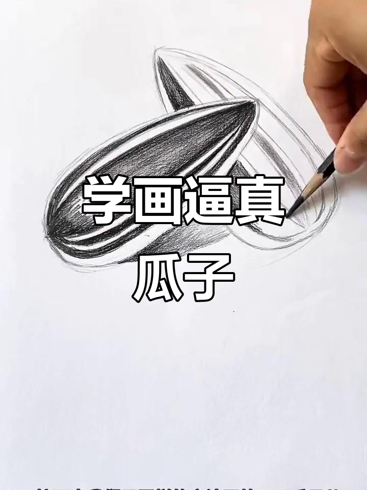 素描瓜子技巧大揭秘,轻松画出栩栩如生的效果