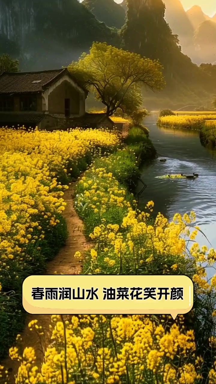 春雨润山水,油菜花笑开颜