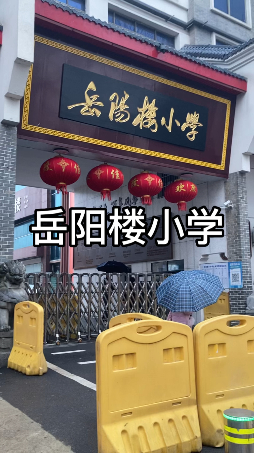 岳阳楼小学介绍