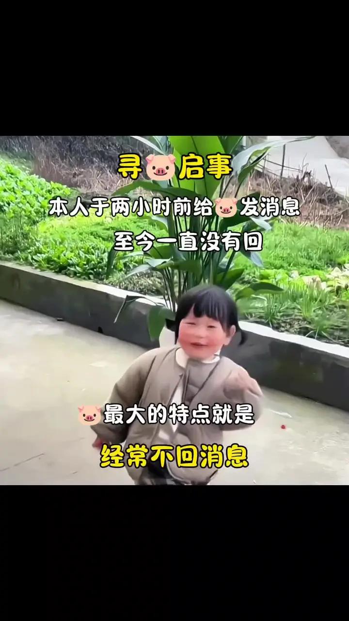 寻猪启事搞笑图片