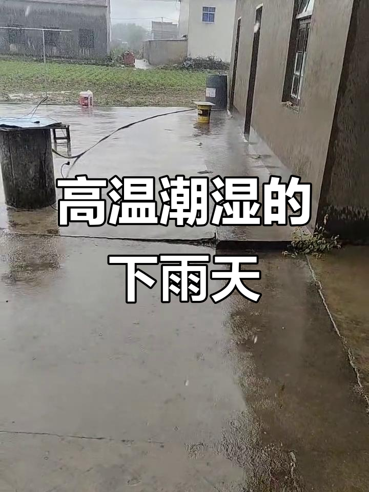 阴雨连绵,天气闷热得让人喘不过气来