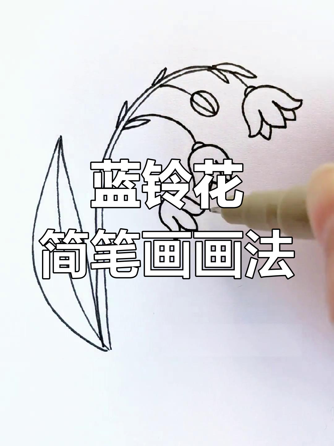 蓝铃花简笔画教程,轻松学会儿童画