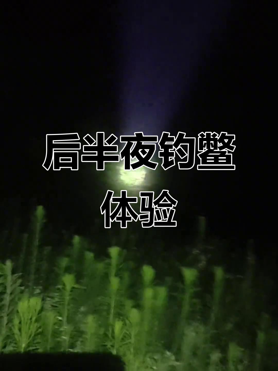 半夜赶海抓鳖,乡村味道十足