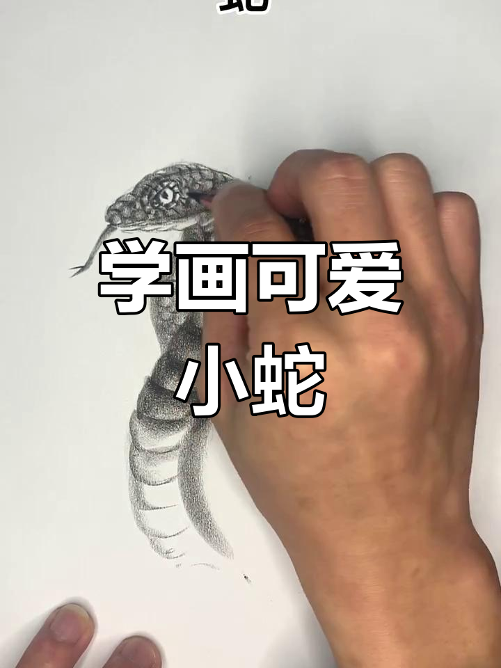 零基础学画蛇,轻松掌握技巧