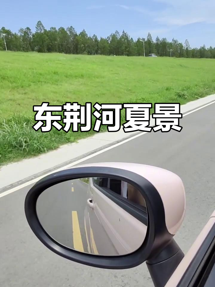 夏日东荆河大堤,绿树成荫莺飞草长