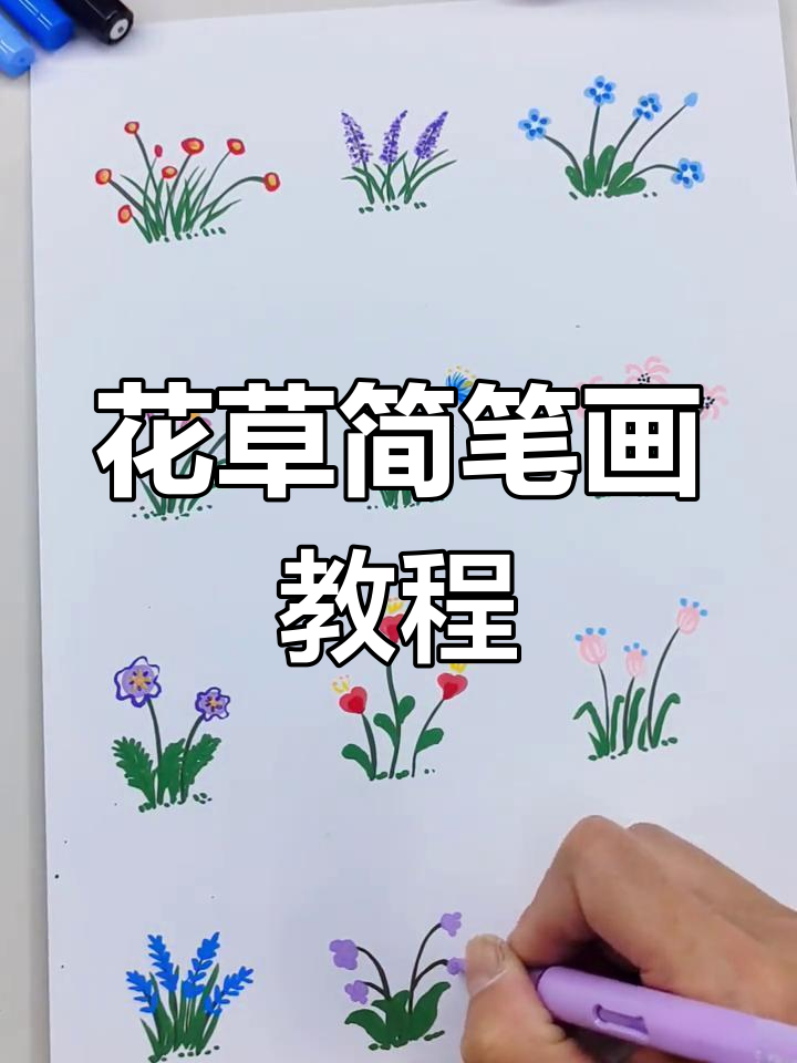 简单花草画法,轻松画出美丽花朵