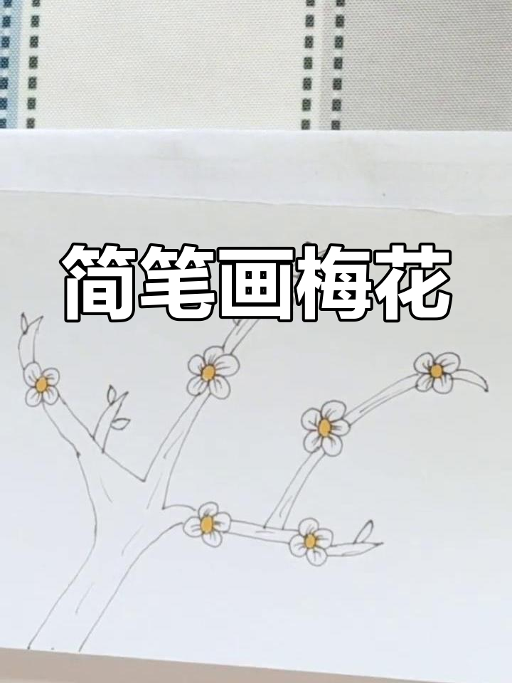 非常简单的梅树怎么画图片