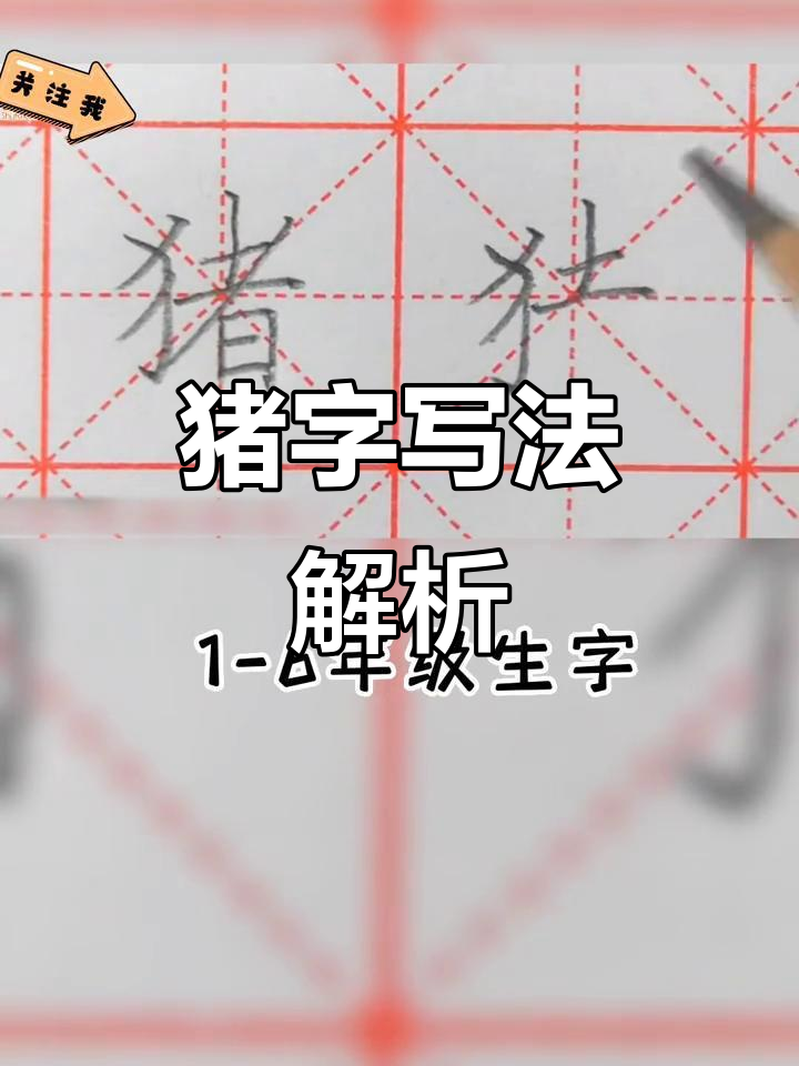猪字的书写方法,适合各年级学生练习