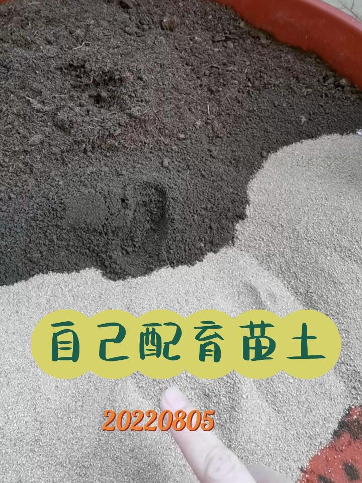 20220805种植第一步自己配育苗土及土消毒