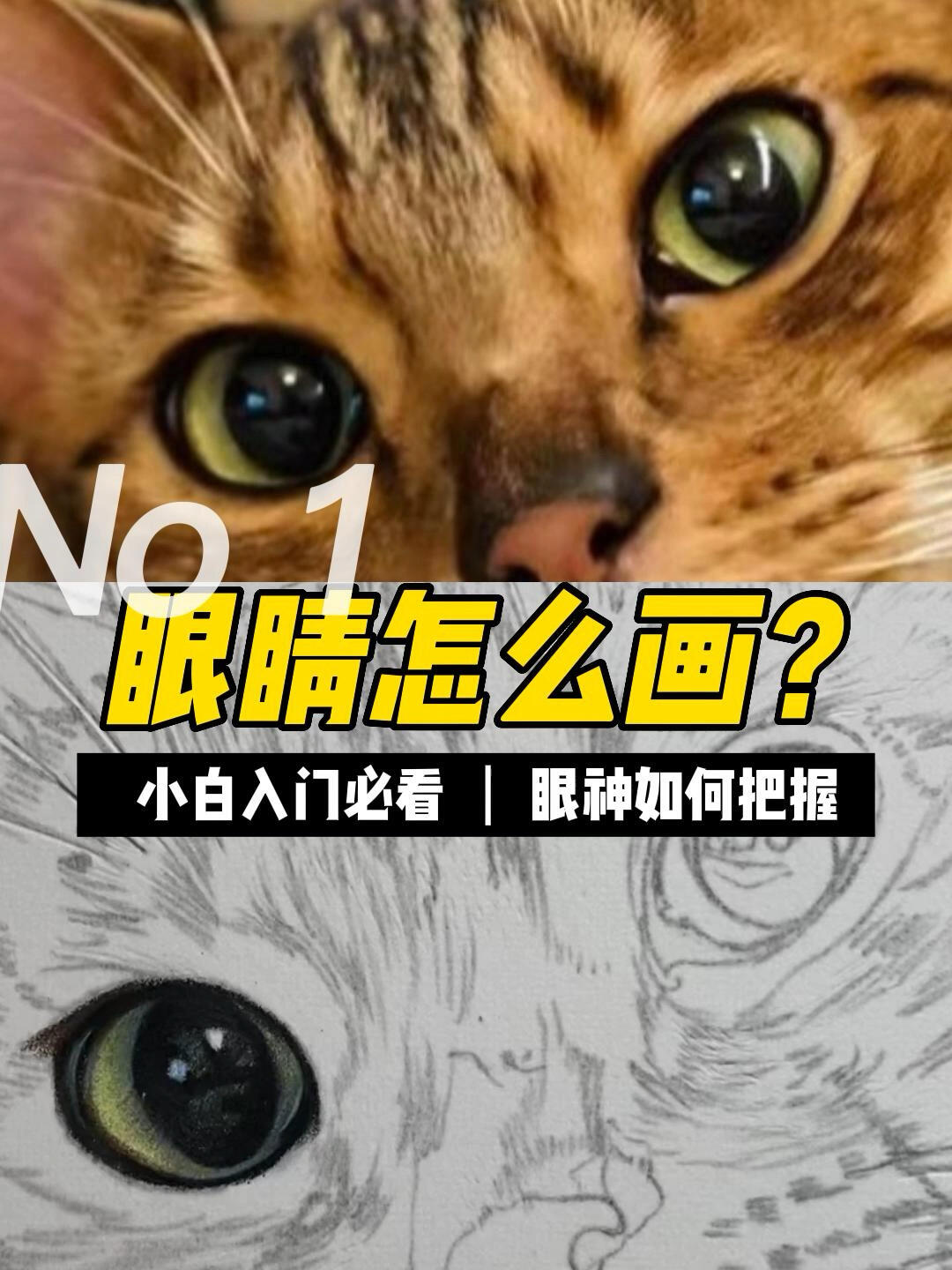猫咪眼睛怎么画?