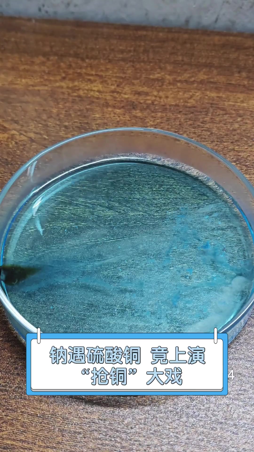 钠遇硫酸铜,竟上演"抢铜"大戏