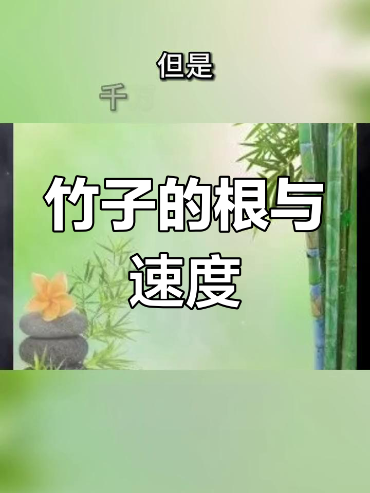 竹子生长的智慧:扎根三年,快速成长