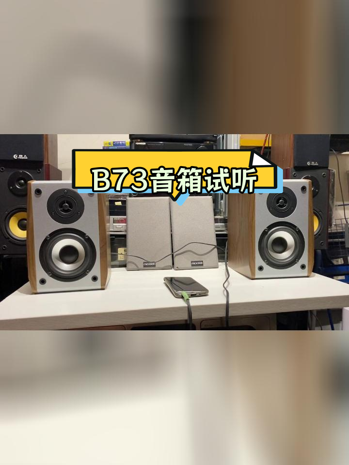 麦博b73音箱拆解图片