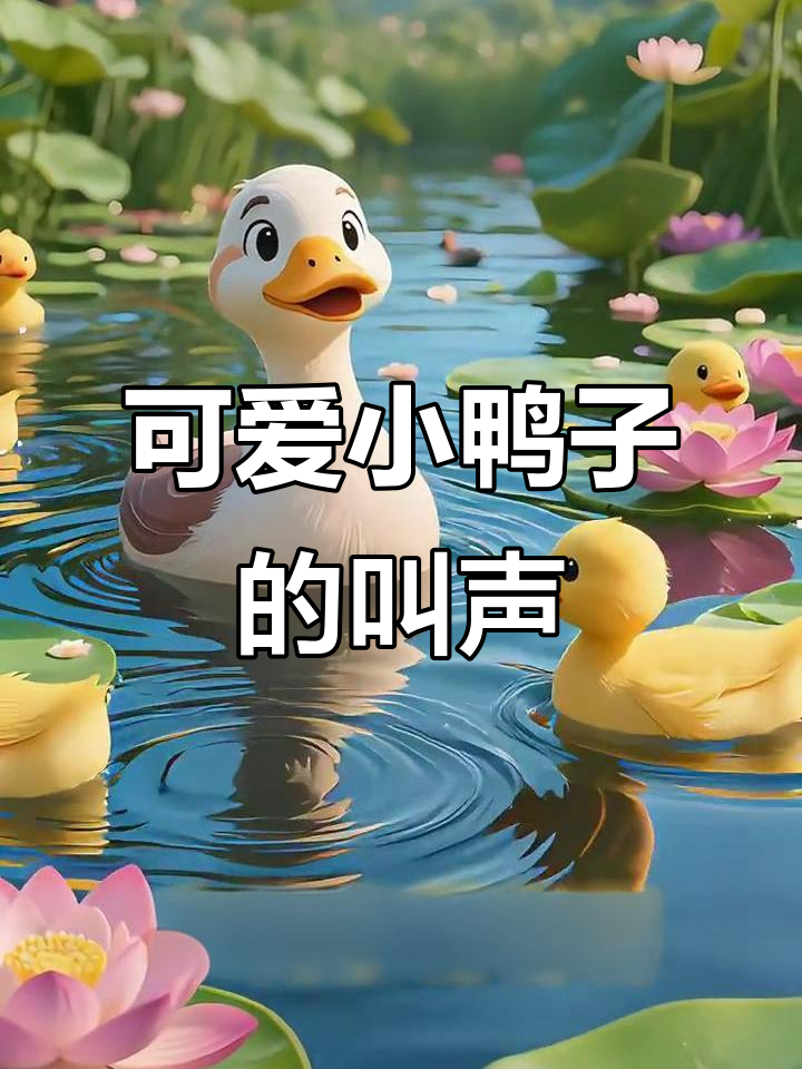 小鸭子为什么一直叫