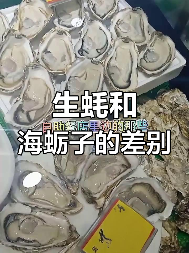 生蚝与海蛎子区别大揭秘,自助餐里的秘密你知道吗?
