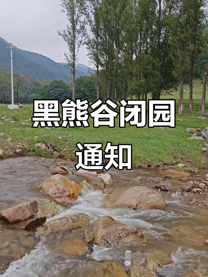 2025年6月4日隆化黑熊谷景区关闭,游客无法入园