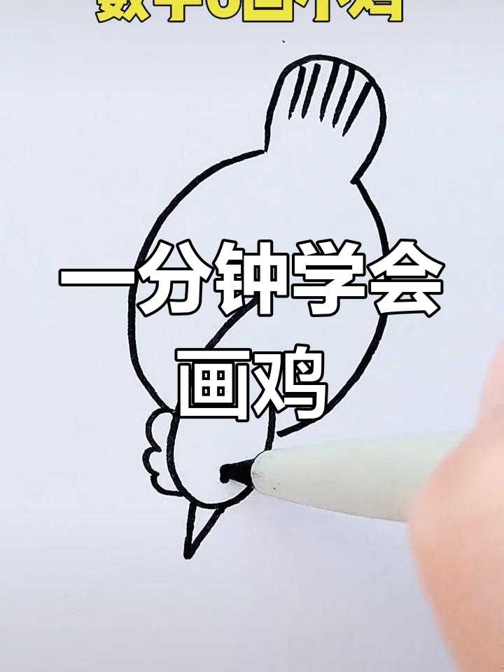 一步一步教画小鸡图片