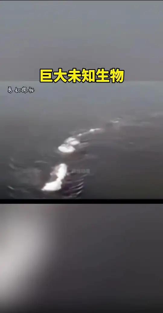 水面上游动着一条巨大未知生物,背上还有未化的积雪,像一座小山一样