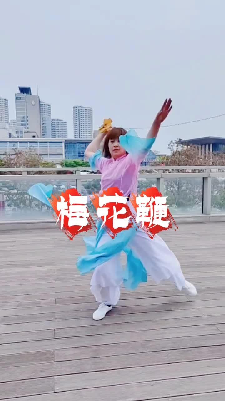 九节鞭教学 青岛少儿武术 青岛 梅花鞭