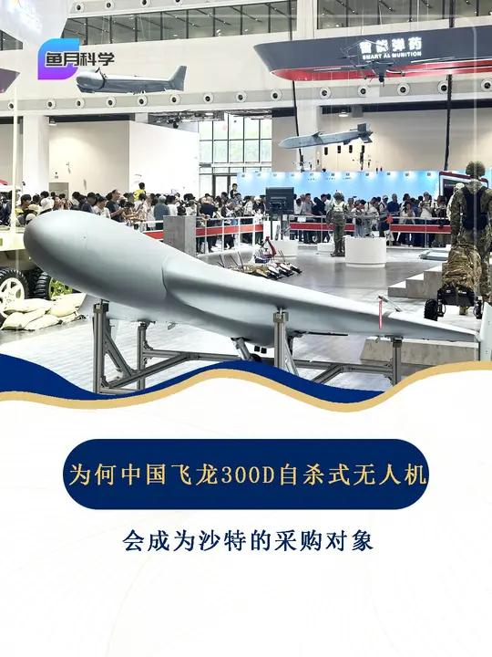 为何中国飞龙300d自杀式无人机,会成为沙特的采购对象?