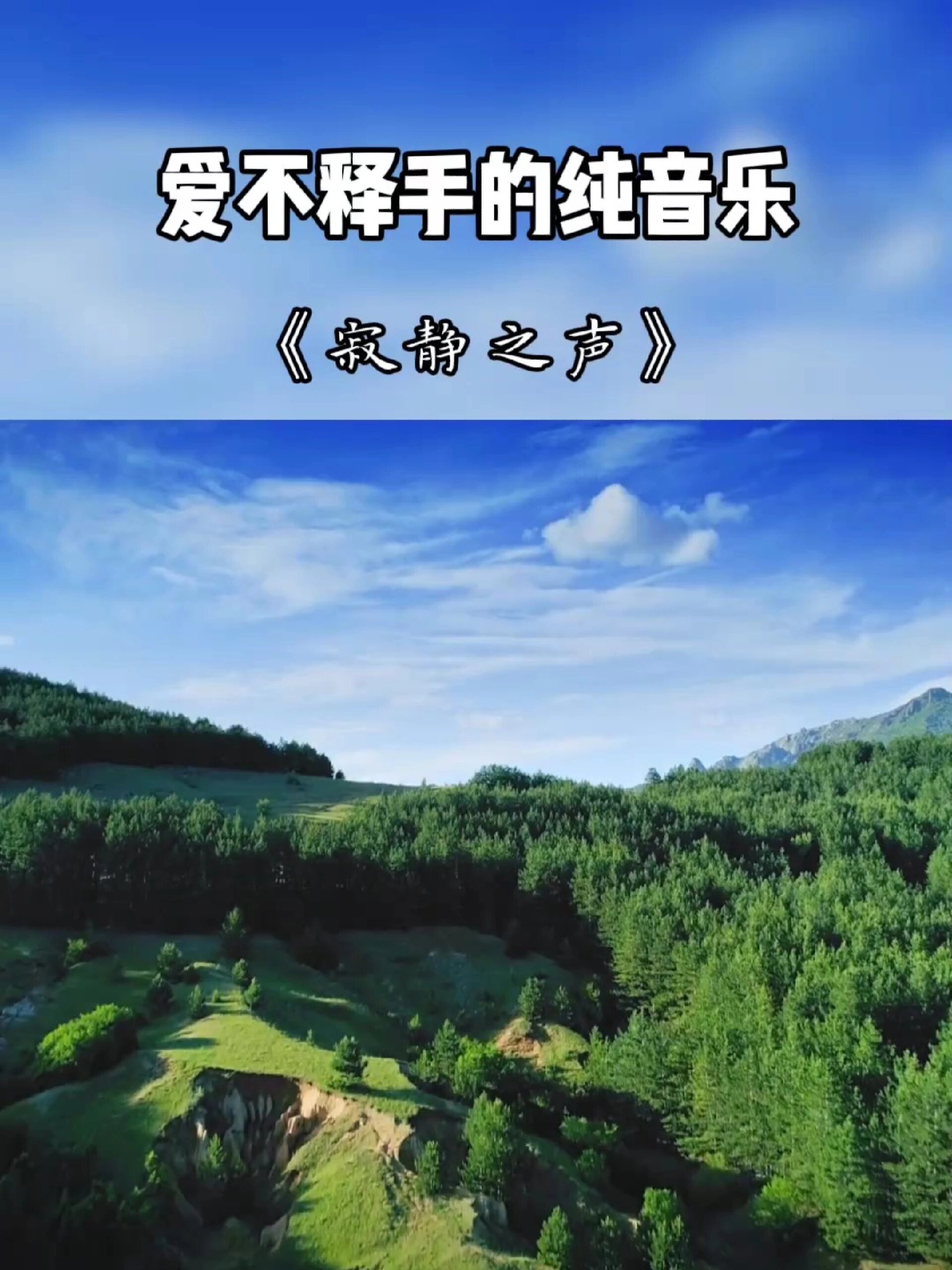 爱不释手的纯音乐《寂静之声》