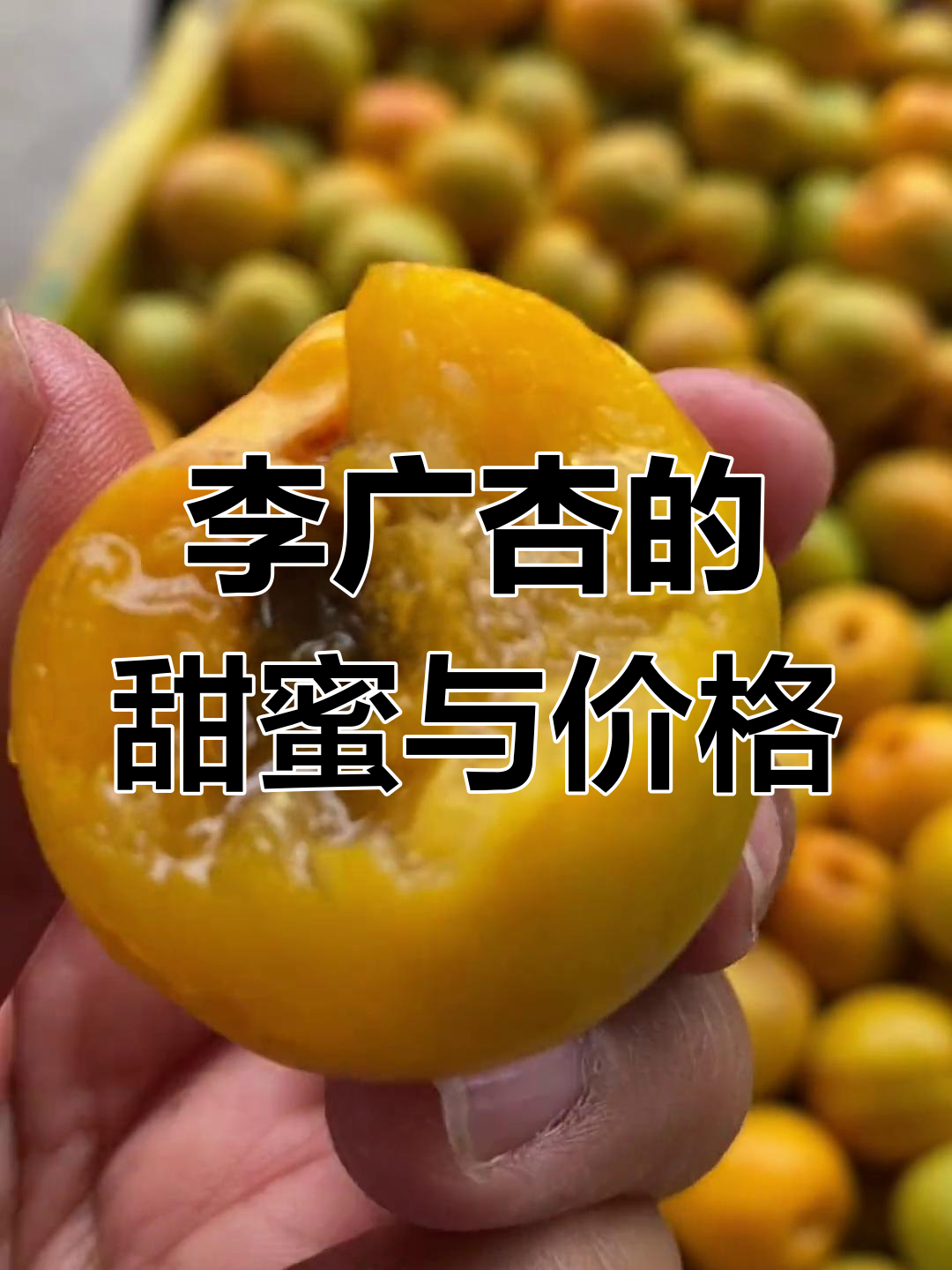 敦煌特产李广杏,甜到让人惊艳!一斤卖多少钱?